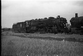 Great Northern Steam Locomotive 3390 at Saint Cloud, Minnesota in 1960.