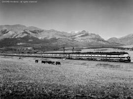 Great Northern Empire Builder eastbound near Glacier Park.  Other subject categories:  Passenger