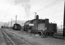 Northern Pacific Steam Locomotives at Livingston, Montana, undated