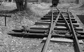 Nevada County Narrow Gauge Railroad Museum O'Malley Spur Switch at Nevada City, California, undated