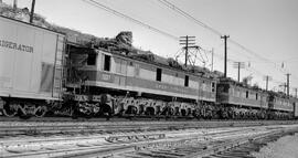 Great Northern Electric Locomotives 5017 and 5014 at Appleyard, Washington, undated