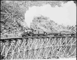 Eagle Gorge Logging Company Climax Steam Locomotive at Eagle Gorge, Washington in 1949.