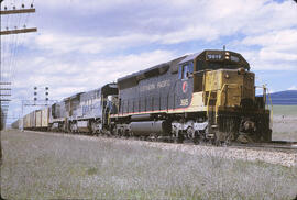 Diesel Locomotives Burlington Northern 2544, with Northern Pacific 3615 and 3307 at Missoula, Mon...