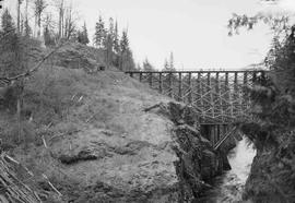 Cowlitz, Chehalis & Cascade Railway Timber Bridge at Mayfield, Washington in 1955.