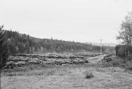 Burlington Northern log yard at Lake Kapowsin, Washington, in 1974.