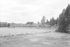 Burlington Northern freight train between Rainier and Yelm, Washington in 1975.