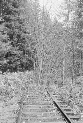 Former Northern Pacific track at Carbonado/Wllkeson, Washington, in 1974.