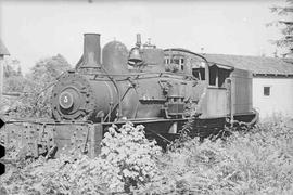 Schafer Brothers Logging Company Steam Locomotive Number 5 at Brady, Washington, circa 1948.