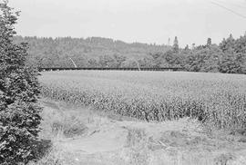 Curtis Millburn & Eastern Track Construction in September 1975.