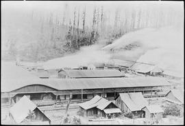 Lumber mill in Walville, Washington, circa 1920.