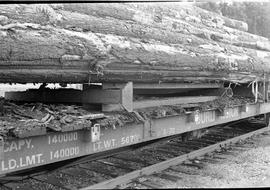 Burlington Northern log car 631394 between Bucoda and Tenino, Washington, circa 1974.