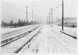 Seattle Municipal Railway Track, Seattle, Washington, circa 1920