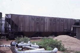 Northern Pacific hopper car number 76800 at Amarillo, Texas, in 1980.