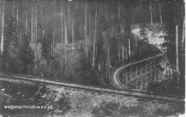 Columbia and Puget Sound Railroad mainline near Taylor, Washington, circa 1915.
