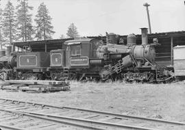 Craig Mountain Lumber Company Steam Locomotive Number 5 at Winchester, Idaho, circa 1948.