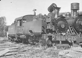 Schafer Brothers Logging Company Steam Locomotive Number 24 at Brady, Washington, circa 1948.