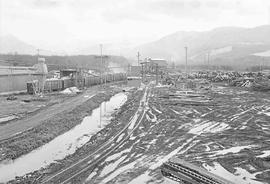 Weyerhaeuser Company Log Reload Facility at Snoqualmie, Washington in February 1975.