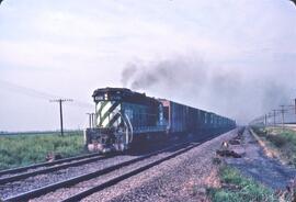 Burlington Northern Diesel Locomotive Number 6184 with Covered Hoppers near Kearney, Nebraska in ...
