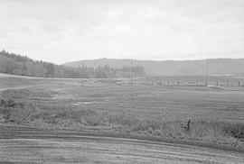 Weyerhaeuser Company Log Reload Facility at Curtis, Washington in November, 1975.