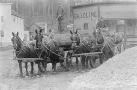 Unknown Horse Logging Operation, circa 1895.