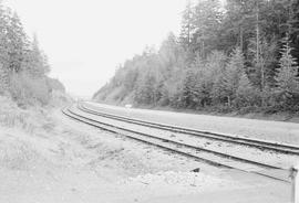 Burlington Northern freight yard at Bangor, Washington, in 1975.