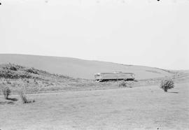 Northern Pacific passenger train number 311 between Oakesdale and Belmont, Washington in 1955.