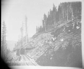 Northern Pacific switchback at Stampede Pass, Washington Territory, circa 1887.