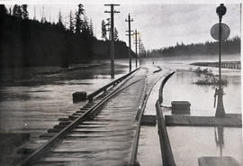 Puget Sound Electric (PSE) track flooded in the White River Valley at Auburn, Washington, circa 1917