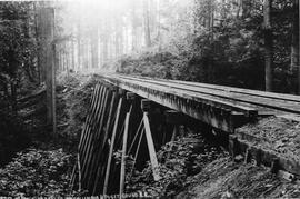 Columbia and Puget Sound Railroad bridge near Taylor, Washington, circa 1910.