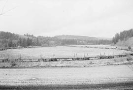 Burlington Northern log reloading yard at Pe Ell, Washington, in 1975.