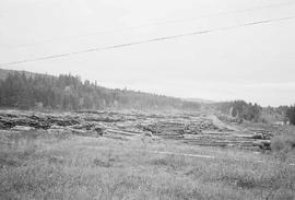 Burlington Northern log yard at Lake Kapowsin, Washington, in 1974.