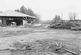 Log yard at Aloha, Washington, in January 1975.