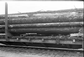 Burlington Northern log car 631394 between Bucoda and Tenino, Washington, circa 1974.