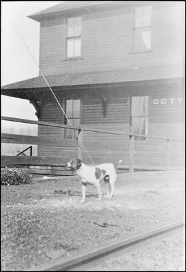 Northern Pacific station at Doty, Washington, circa 1948.