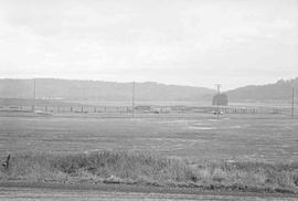 Weyerhaeuser Company Log Reload Facility at Curtis, Washington in November, 1975.