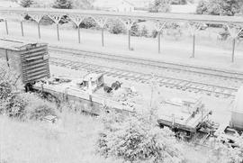 Northern Pacific Railroad Flat Car Number 200190 at East Auburn, Washington in June, 1975.