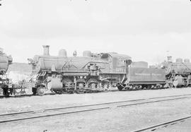 Northern Pacific steam locomotive 1271 at South Tacoma, Washington, in 1955.