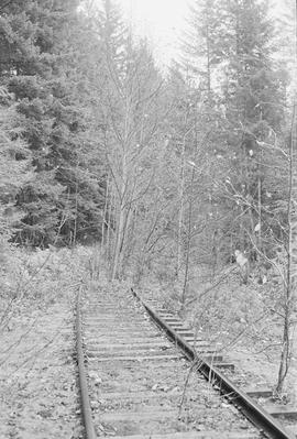 Former Northern Pacific track at Carbonado/Wllkeson, Washington, in 1974.