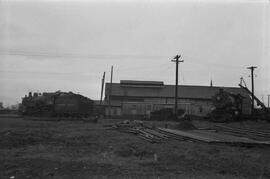 Northern Pacific Steam Locomotive 1380, Bellingham, Washington, undated
