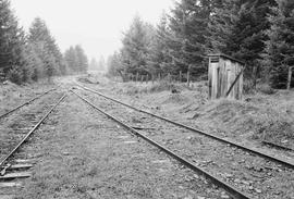 Burlington Northern tracks at Wetico, Washington, in  1975.