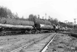 Pacific Coast Railroad log cars  at Lakeside, Washington in 1939.