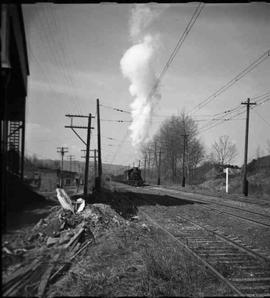 Pacific Coast Railroad freight train at Maple Valley, Washington in 1951.