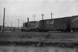 Northern Pacific Diesel Locomotive 259, Bellingham, Washington, undated