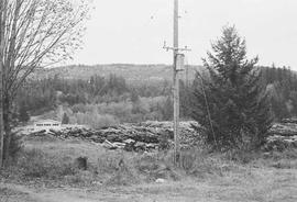 Burlington Northern log yard at Lake Kapowsin, Washington, in 1974.