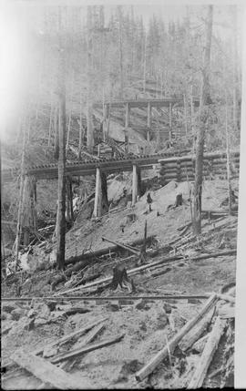 Northern Pacific mainline at Stampede Pass, Washington Territory, circa 1887.