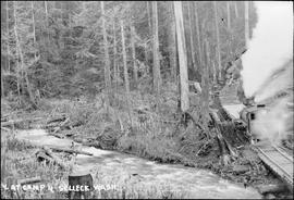 Pacific States Logging Company Steam Locomotive Number 5 at Selleck, Washington, circa 1925.