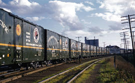 Northern Pacific Railroad Company box car 98557 at Vancouver, Washington in 1961.