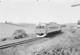 Northern Pacific passenger train number 311 between Garfield and Palouse, Washington in 1955.