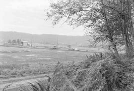 Weyerhaeuser Company Log Reload Facility at Curtis, Washington in November, 1975.