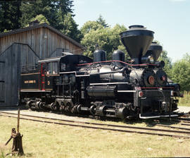 Mayo Lumber number 3, a Shay class steam locomotive at Duncan, British Columbia, on July 12, 1990.